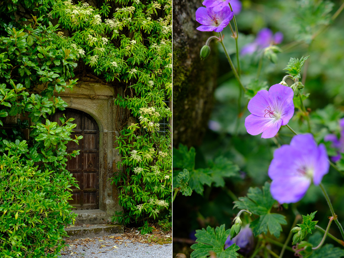 Lanhydrock House, Cornwall. Photos made with 35mm lens.