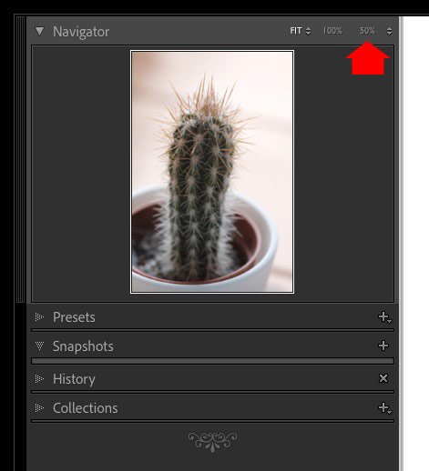 Lightroom Classic zoom setting