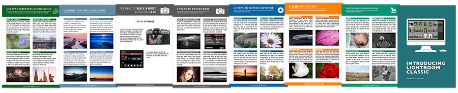 PhotoTips Cards