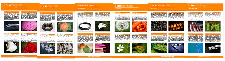 Close-Up Photography
PhotoTips Cards