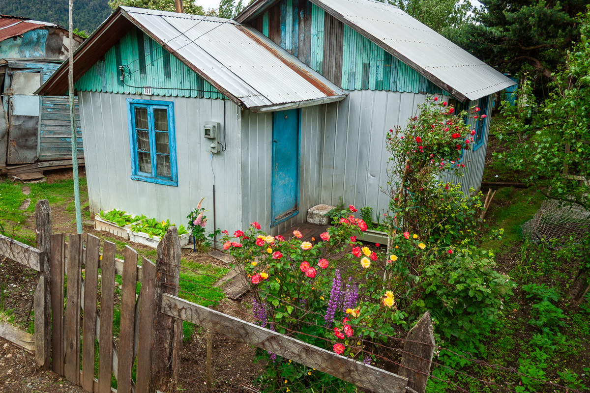 Front garden in southern Chile