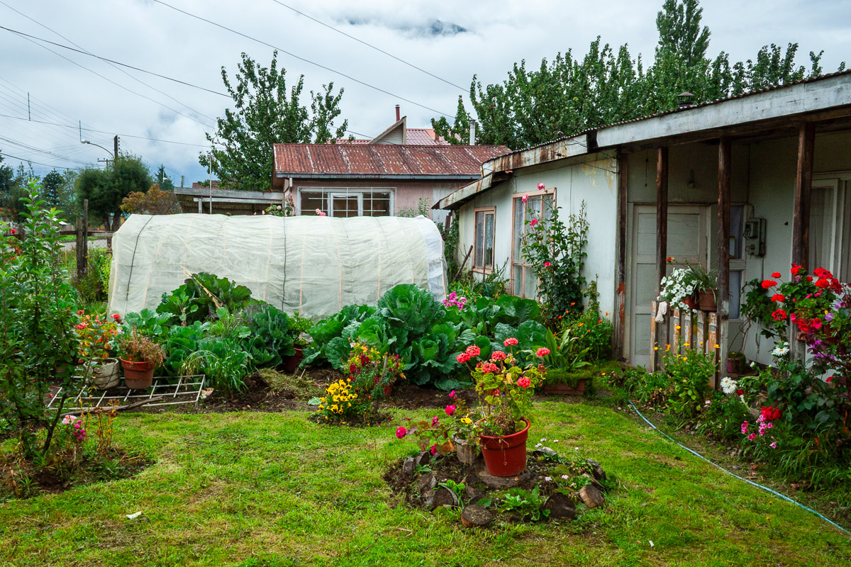Front garden in southern Chile